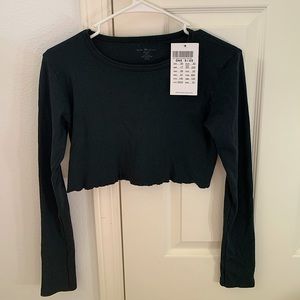 Brandy Melville Hailie Basic Long Sleeve Crop Top (never worn)